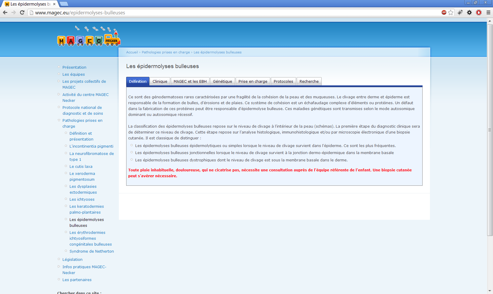 www.magec.eu