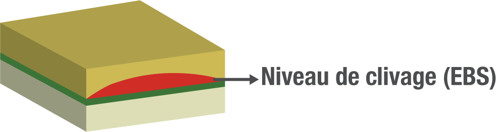 types d’EB EBS